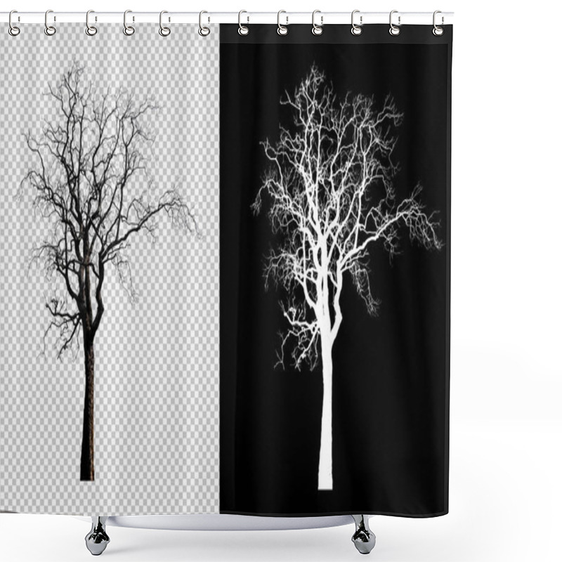 Personality  Single Tree Without Leaf With Clipping Path Shower Curtains