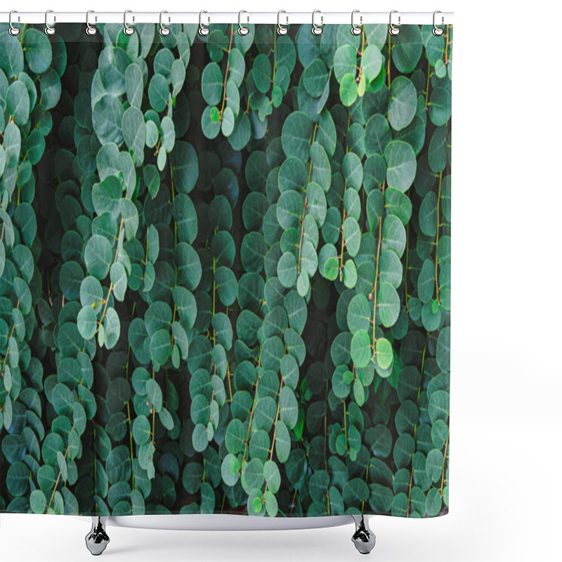 Personality  Closeup Of Lush Green Foliage With Round Leaves Forming Dense And Vibrant Natural Background Shower Curtains