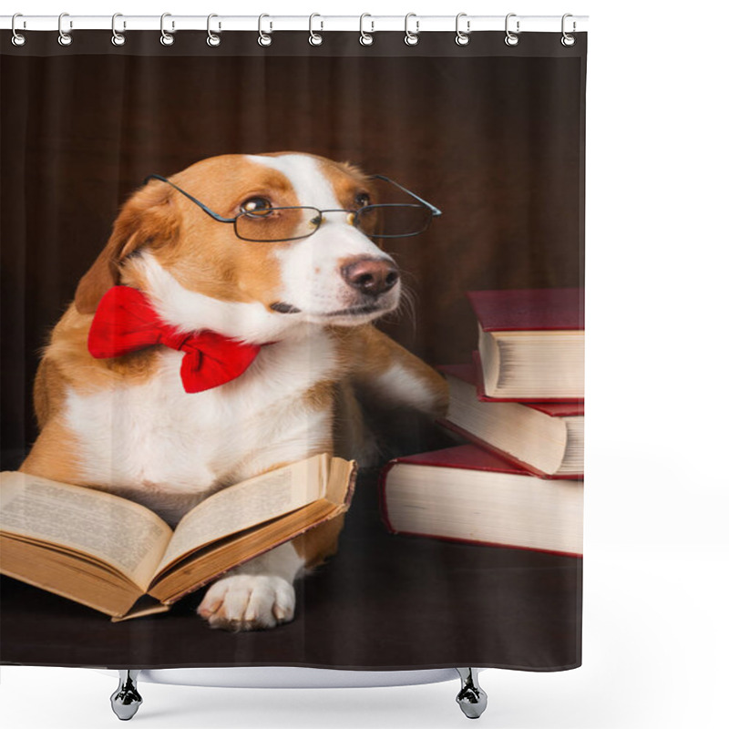 Personality  Cute Mixed Breed Dog Posing As An Intellectual Shower Curtains