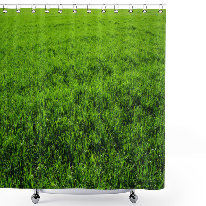 Personality  Background Of A Green Grass Shower Curtains