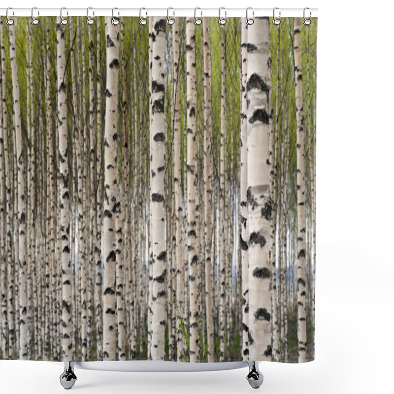 Personality  Birch Trees Shower Curtains