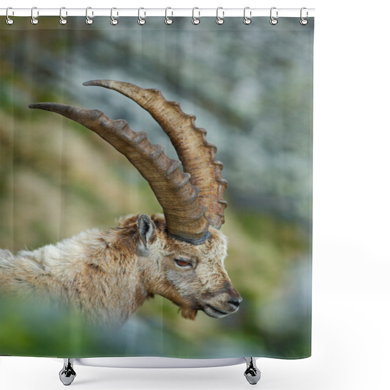 Personality  Detail Portrait Of Antler Alpine Ibex Shower Curtains