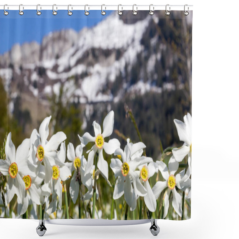 Personality  Wild Narcissus Flower (narcissus Poeticus) With Snow-capped Swiss Alps Mountain At The Background, Montreux Riviera Regions Over Geneva Lake Shower Curtains