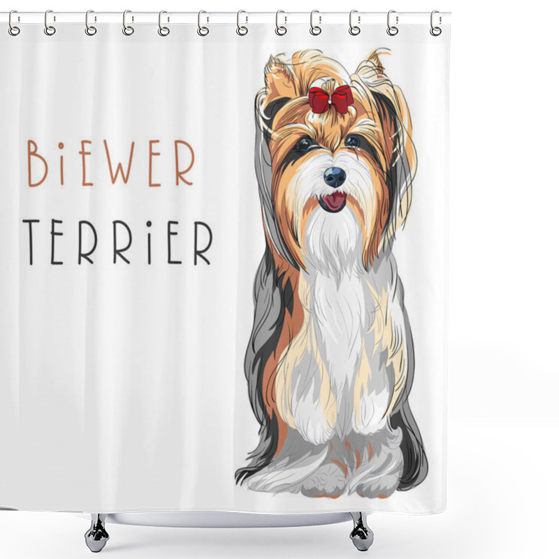 Personality  Vector Funny Biewer Yorkshire Terrier Dog Sitting Shower Curtains