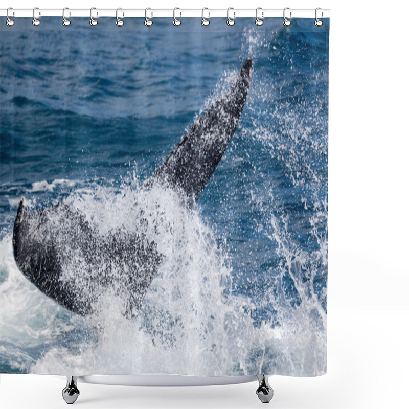 Personality  Beautiful Whale Shower Curtains