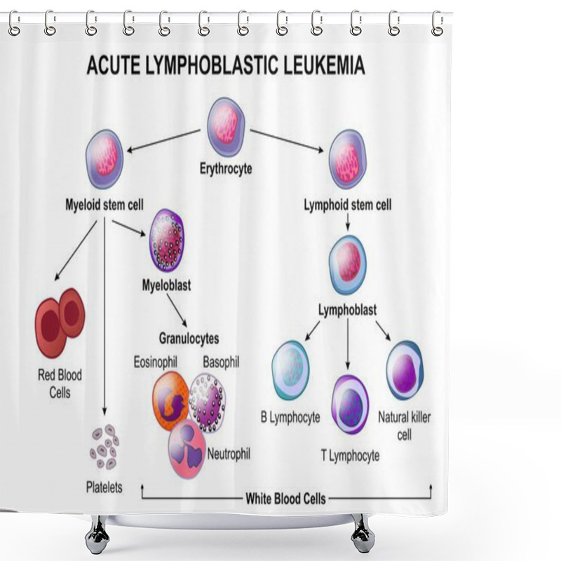 Personality  Acute Lymphoblastic Leukemia Cancer Cell Illustration Shower Curtains