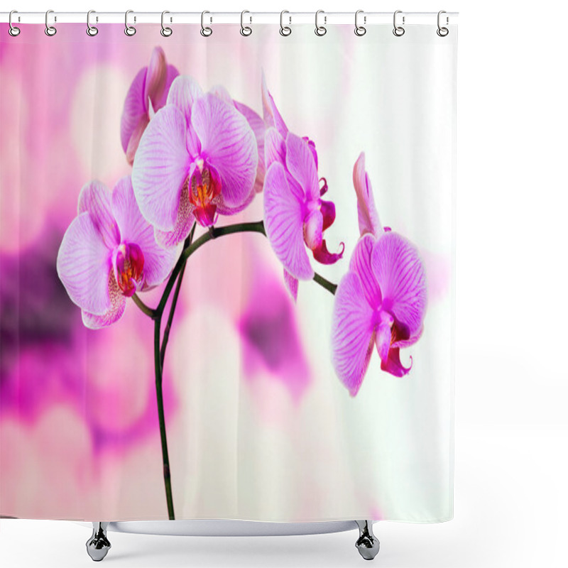 Personality  Beautiful Purple Orchid Flowers Shower Curtains