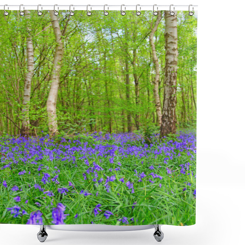 Personality  Bluebell Flowers In Spring Forest Shower Curtains