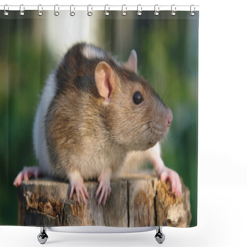 Personality  Mouse On The Stump Shower Curtains