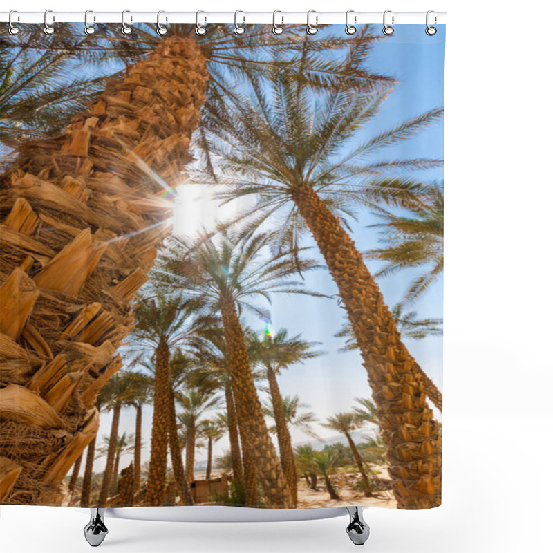 Personality  Palm Tree In Desert Liwa Dunes, Liwa Hotel, UAE Shower Curtains