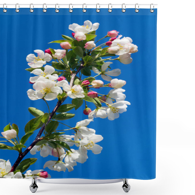 Personality  Flowering Crab Apple Branch Shower Curtains