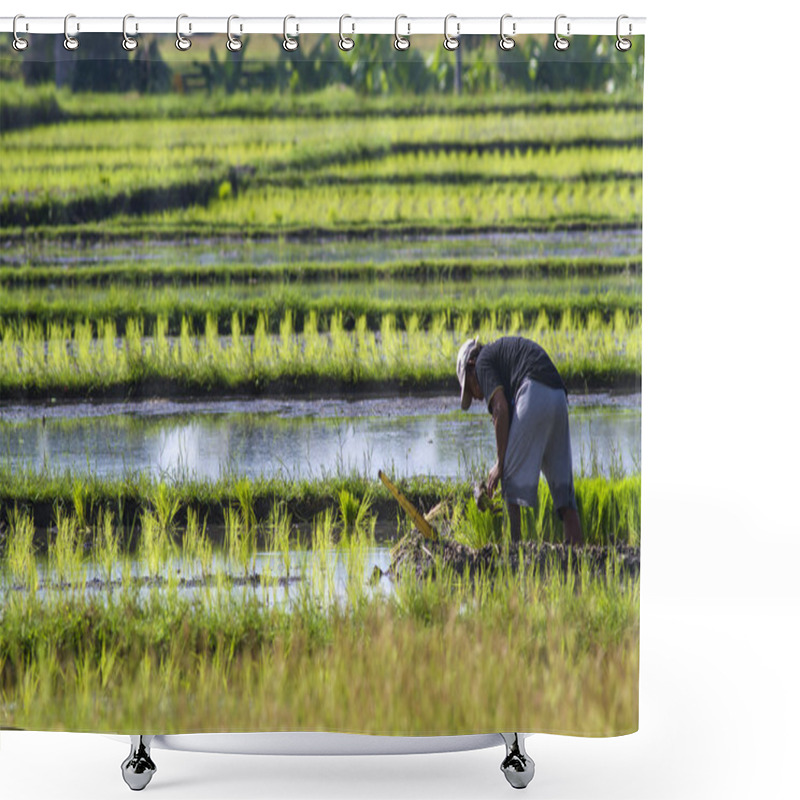 Personality  Farmer gathering rice shower curtains