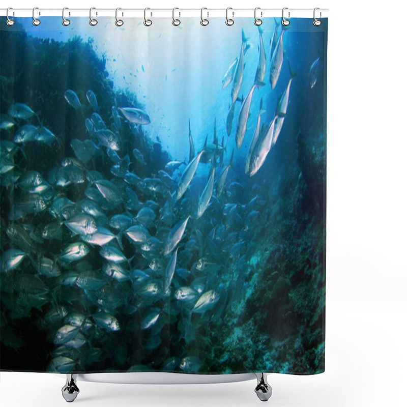 Personality  School Of Tuna Shower Curtains