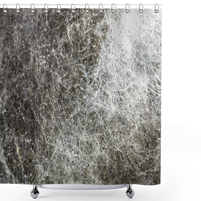 Personality  Photo Of A Mould Close Up Shower Curtains