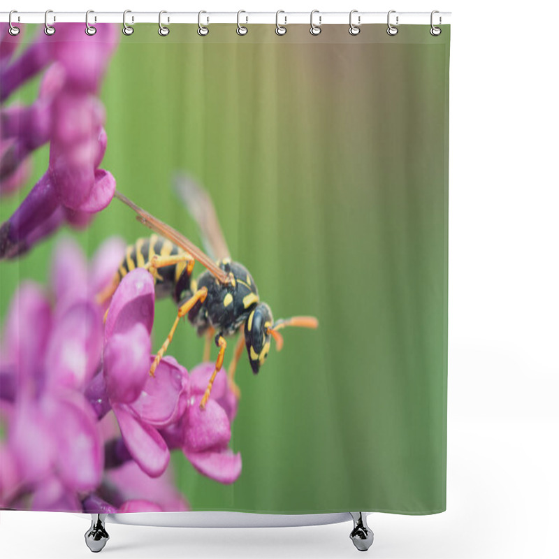 Personality  Wasp Shower Curtains