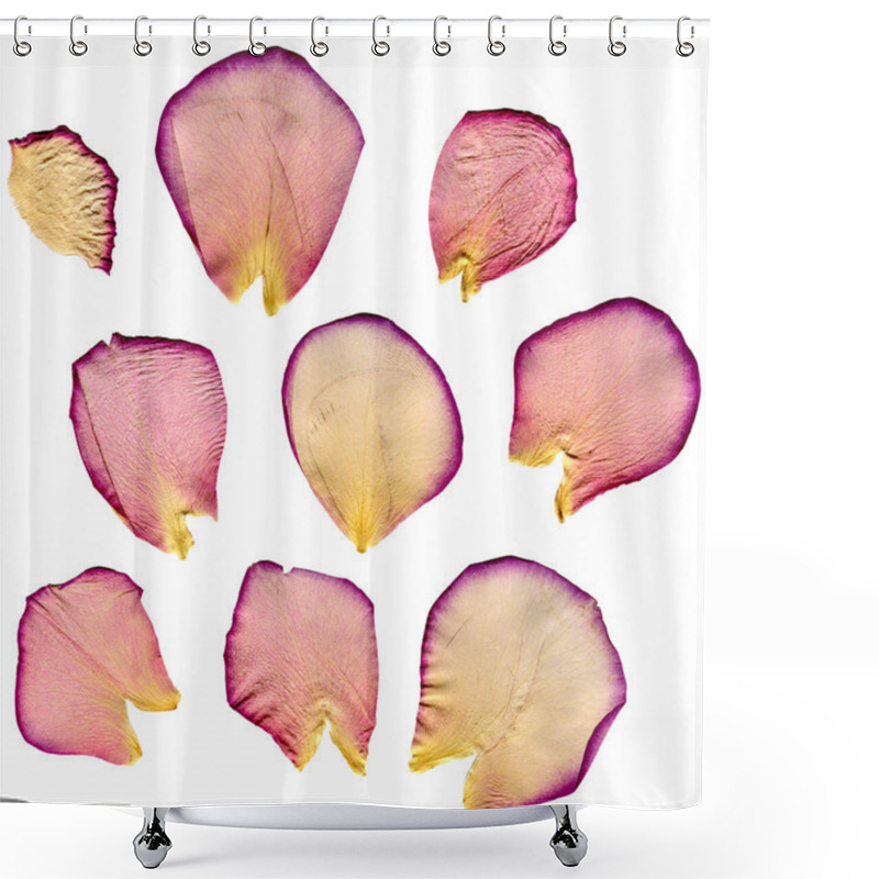 Personality  Dried Rose Petals Shower Curtains