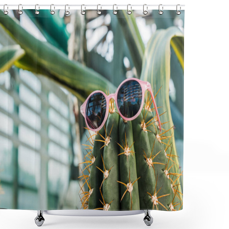 Personality  Close-up View Of Beautiful Green Cactus With Stylish Sunglasses In Greenhouse    Shower Curtains