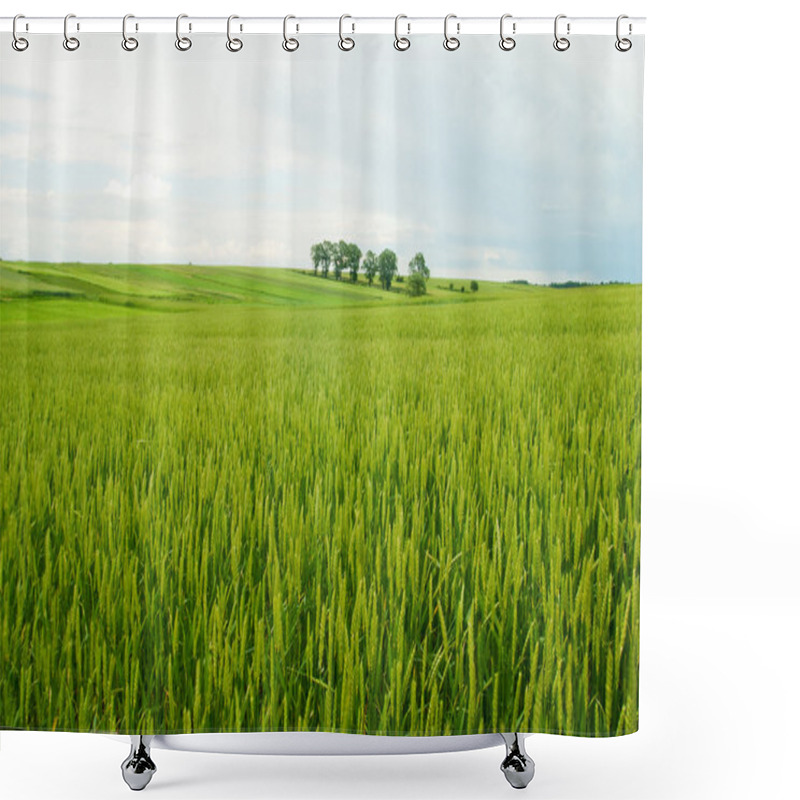 Personality  Rural Landscape Of Poland. Shower Curtains