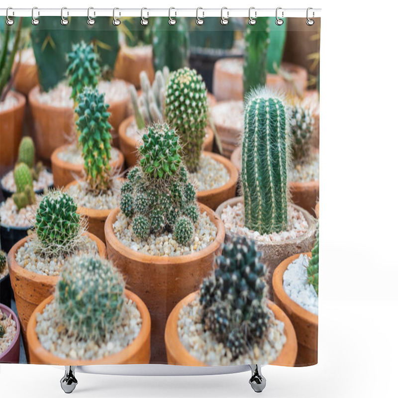 Personality  Many Kind Of Green Cactus Plants On Gravel In Terracotta Pots. Shower Curtains