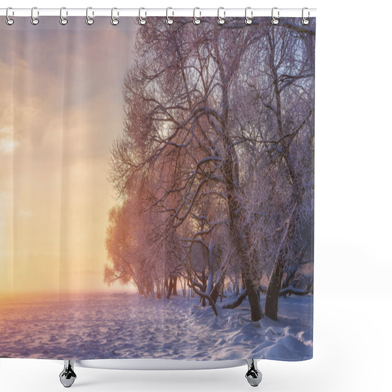 Personality  Winter Wonderland. Amazing Winter Scene At Sunset. Christmas Background. Bright Sunlight. Xmas Holidays. Snowy Nature. Sunshine On Sunrise. Plants Covered By Snow Shower Curtains