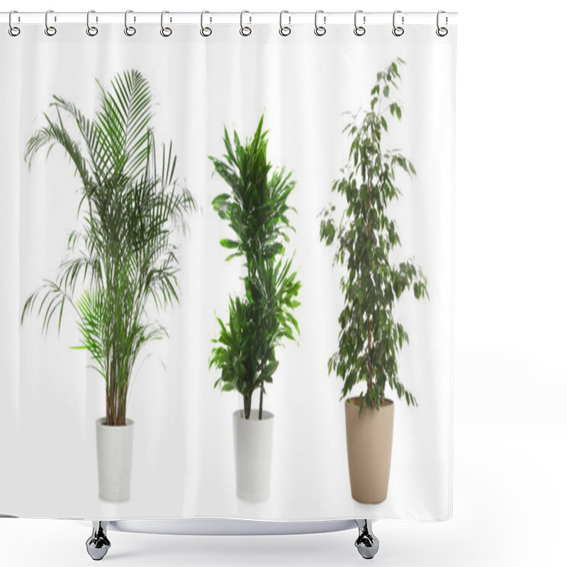 Personality  Set Of Different Houseplants In Flower Pots On White Background. Banner Design  Shower Curtains