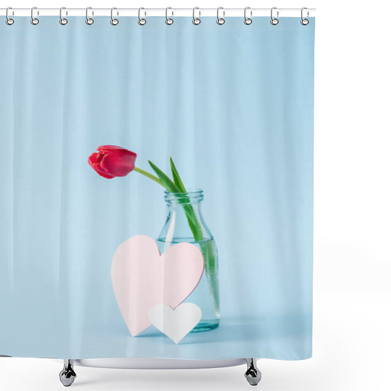 Personality  Red Tulip In Transparent Glass Vase And Paper Hearts On Blue Background Shower Curtains