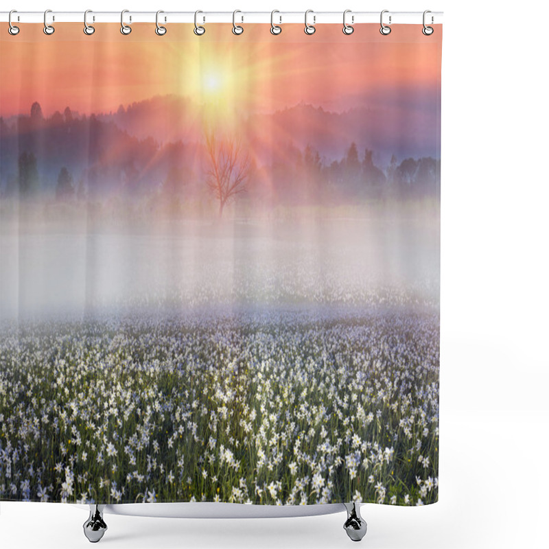 Personality  Wild Daffodils Flowers In Mountains Shower Curtains