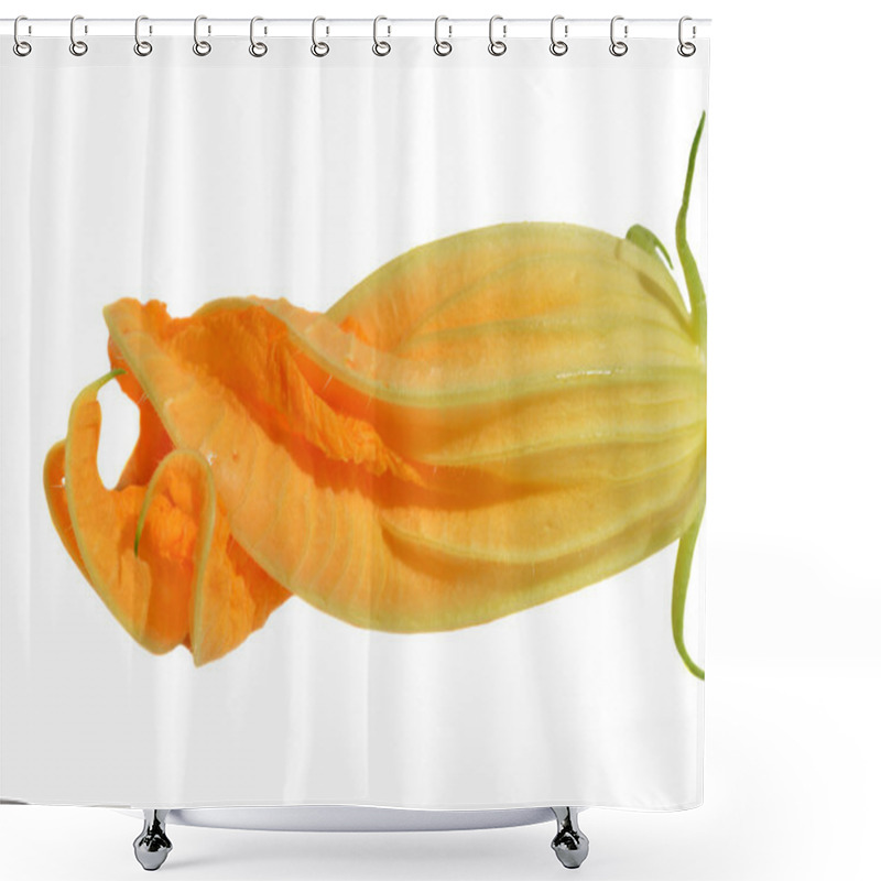 Personality  Yellow Courgette Blossoms Shower Curtains