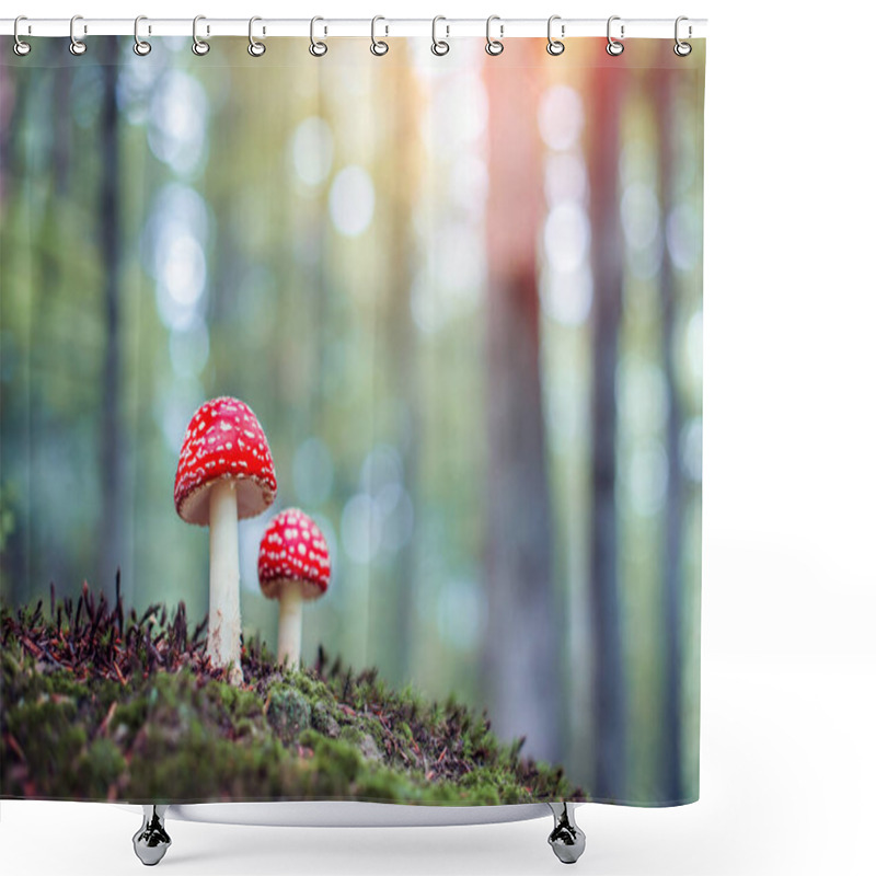 Personality  Two Fly Agaric Amanita Muscari Red-headed Hallucinogenic Toxic Mushroom In Spring Forest Close Up Shower Curtains