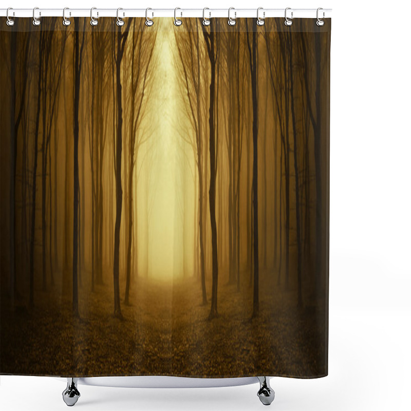 Personality  Forest Path With Mysterious Fog At Sunrise Shower Curtains