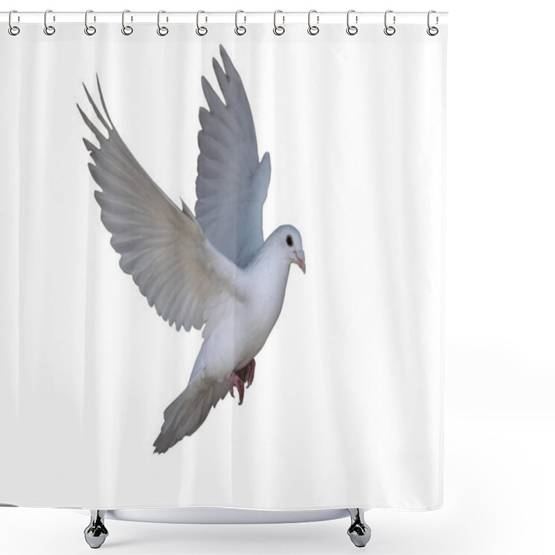 Personality  White Dove Flying Isolated At The White Shower Curtains