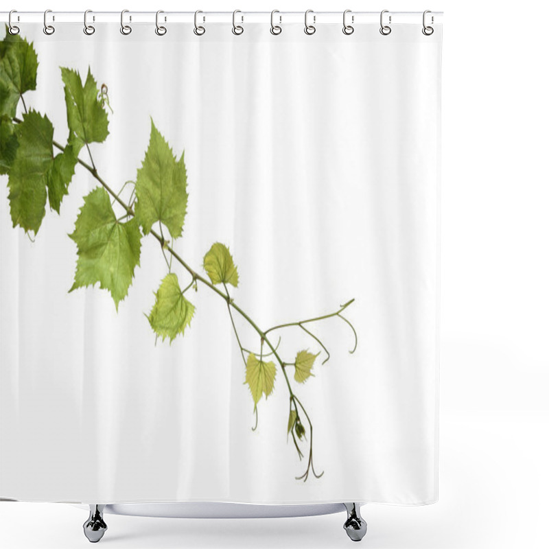 Personality  Green Grape Leaves Shower Curtains