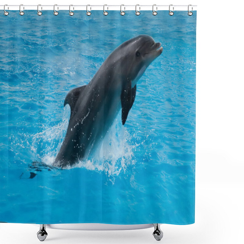 Personality  Jumping Dolphin Shower Curtains