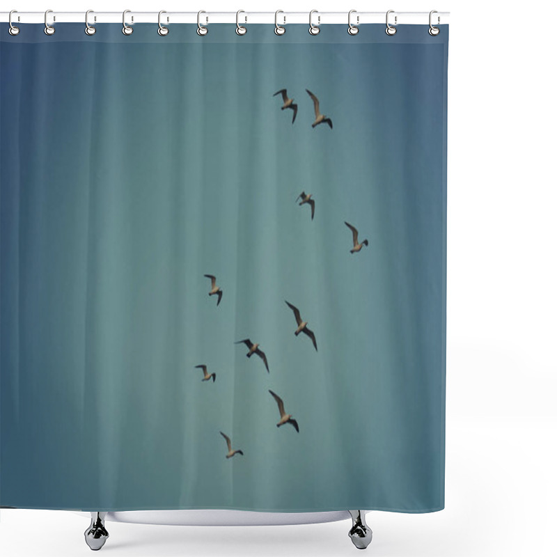 Personality  Flock Of Seagulls Flying In Sky Shower Curtains