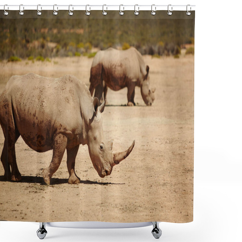 Personality  Rhino, Nature And Wildlife Conservation For Safari, Indigenous And Environment With Endangered Species. Animals, Herbivore And Grassland With Ecosystem, Habitat And Sustainability For Biodiversity. Shower Curtains