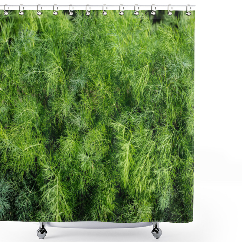 Personality  Fresh Dill Green Shower Curtains