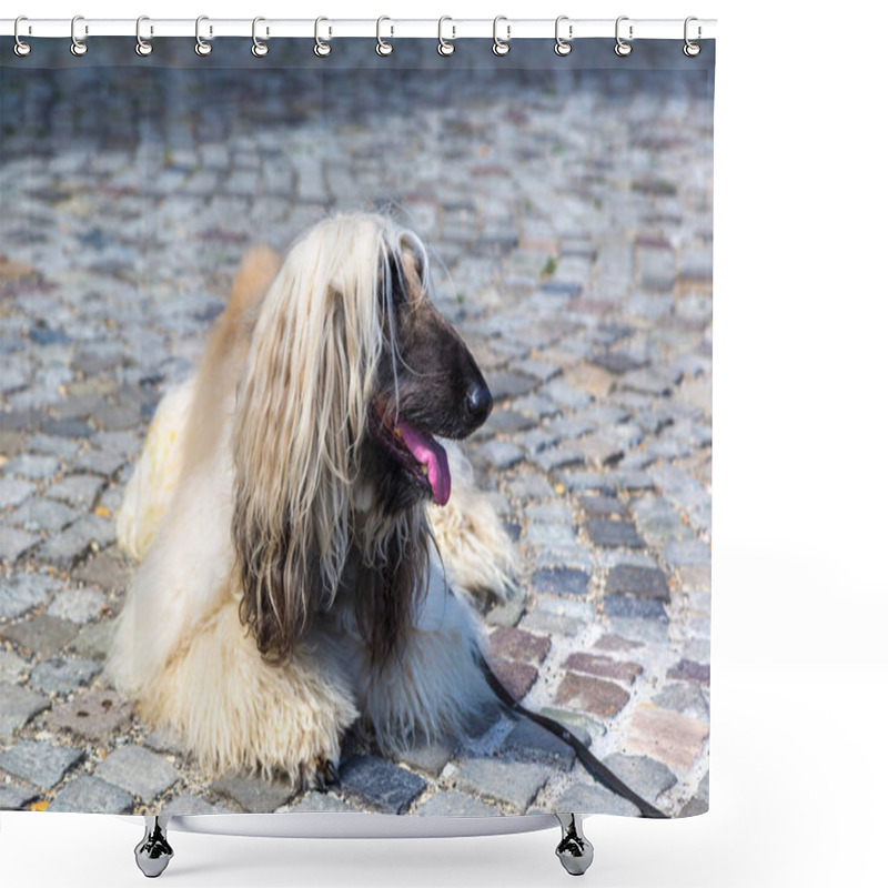 Personality  Afghan Hound In A Summer Day Shower Curtains