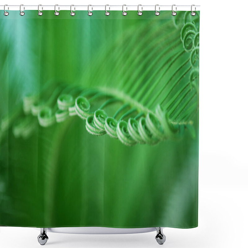 Personality  Young Cycas Leaf Shower Curtains