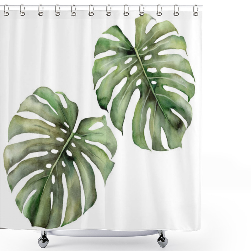 Personality  Watercolor Tropical Big Set With Monstera Leaves. Hand Painted Exotic Leaves Isolated On White Background. Floral Illustration For Design, Print, Fabric Or Background. Summer Template. Shower Curtains