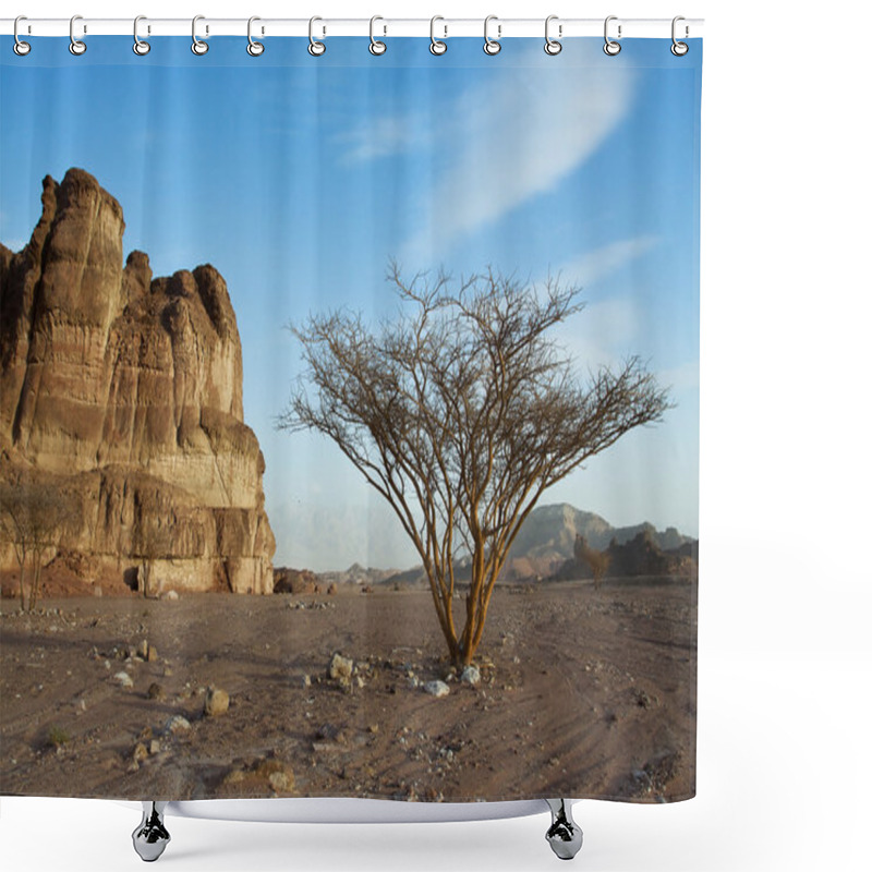 Personality  Desert Landscape. Shower Curtains