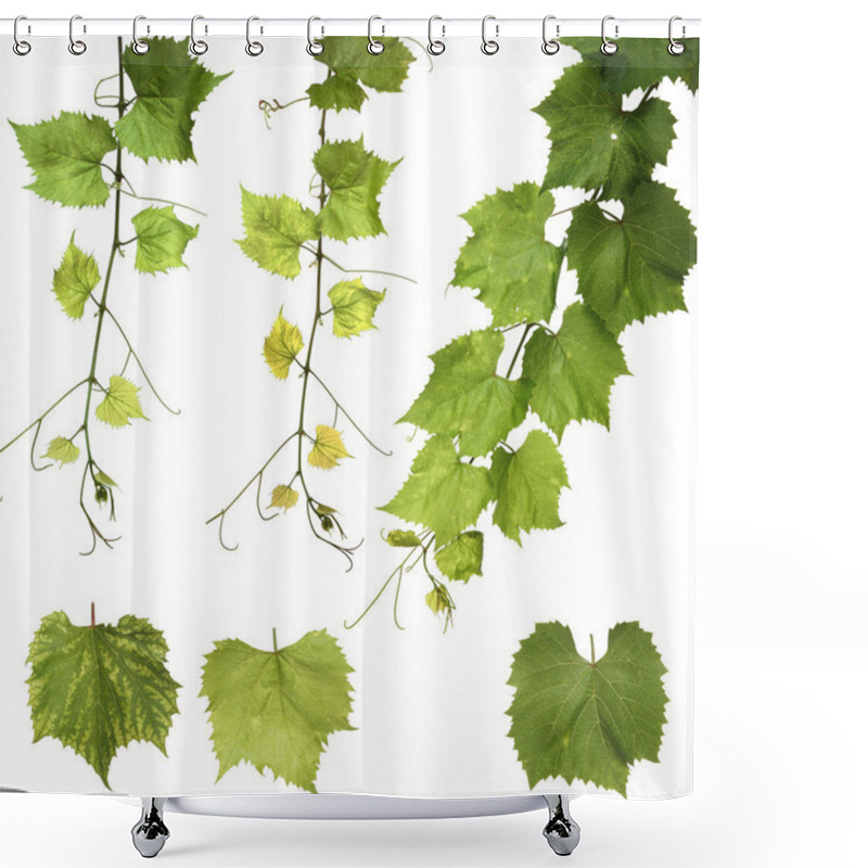 Personality  Green Grape Leaves Shower Curtains