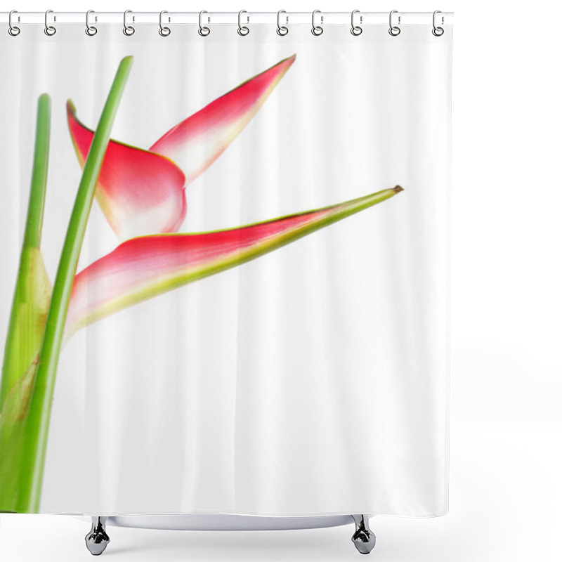 Personality  Heliconia Flower Shower Curtains