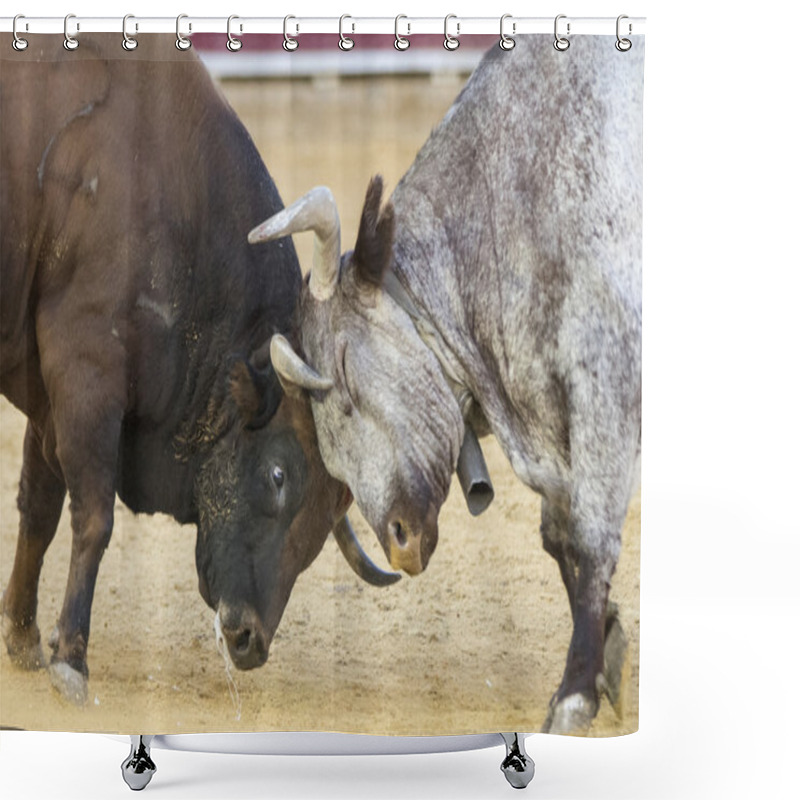 Personality  Two Bulls Fighting Shower Curtains