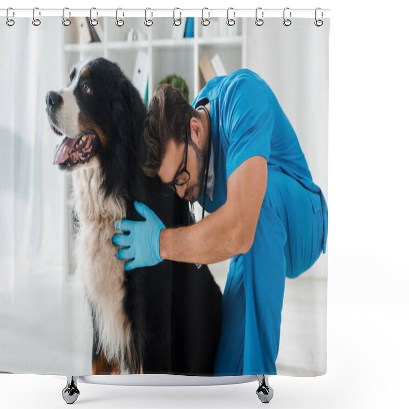 Personality  Young, Attentive Veterinarian Examining Cute Bernese Mountain Dog  Shower Curtains