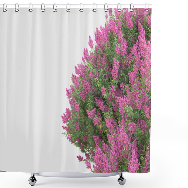 Personality  Spring Flowers And Grass Isolated On Grey Background. 3d Rendering - Illustration Shower Curtains