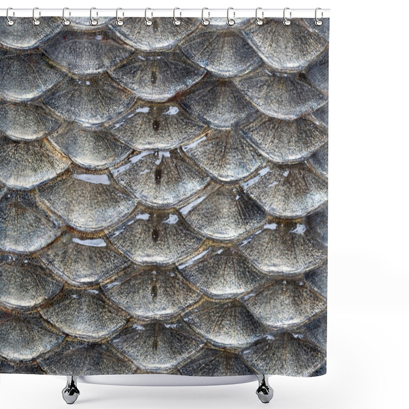 Personality  Fish Scales Seamless Pattern Shower Curtains