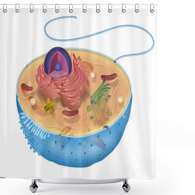 Personality  Lllustration Of The Animal Cell Shower Curtains