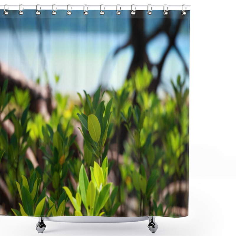 Personality  Mangrove Tree In Havelock Island In Andamans, India. Shower Curtains