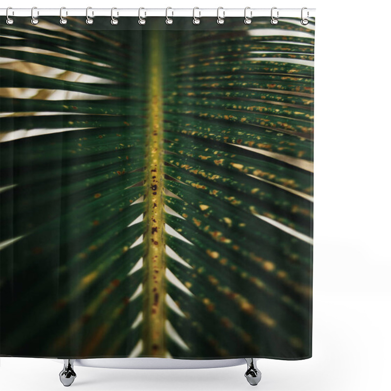 Personality  Macro View Of A Green Palm Leaf With A Textured Central Stem And Spotted Foliage, Showcasing Natural Patterns And Imperfections.  Shower Curtains