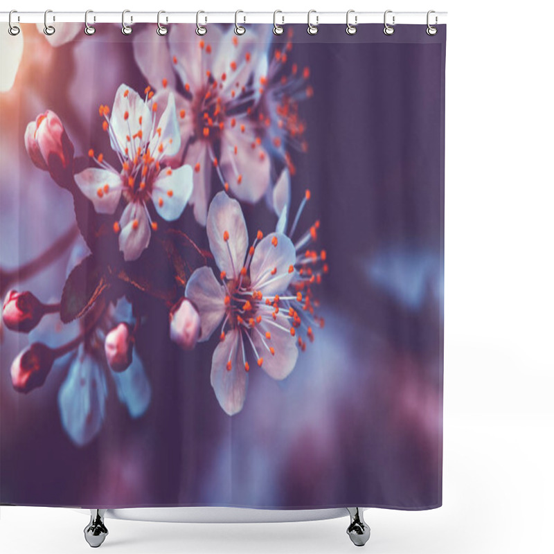 Personality  Gentle Cherry Blossom Shower Curtains